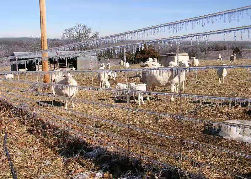 Bauernhof und Ranch-Zaun