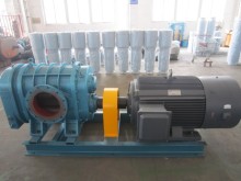 Air Cooling Three Lobes Type Roots Blower Fan