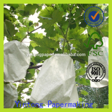 grape bag fruit growing paper bag