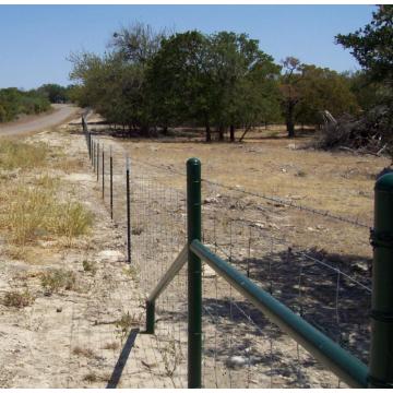 2.2m Farm filed fence animal fence with ISO9001