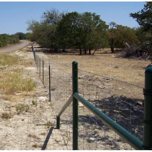 2.2m Farm filed fence animal fence with ISO9001