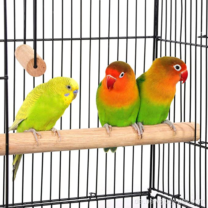 Offener oberer mittlerer kleiner Papagei Vogelkäfig