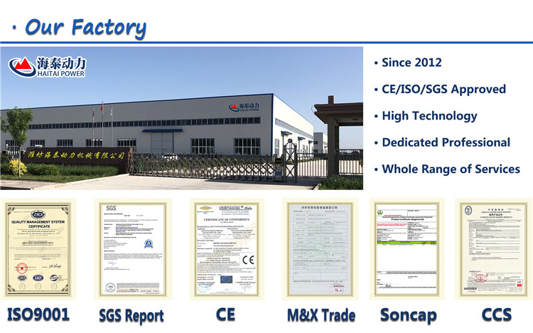 20kw 30kw 50kw 80kw 120kw 200kw 300kw 400kw 500kw 1000kw LNG CNG natural methane gas generator set