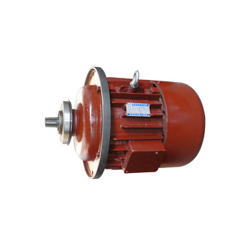 AC electric motor for hoist lifting crane