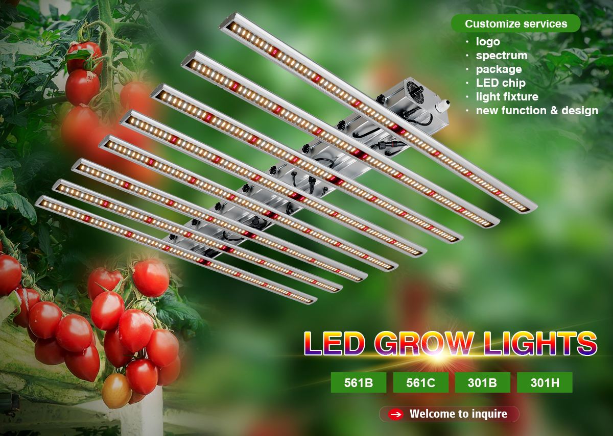 LED Grow Light