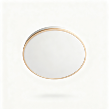 Energy Efficient LED Ceiling Lighting