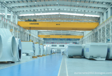30t Double overhead crane