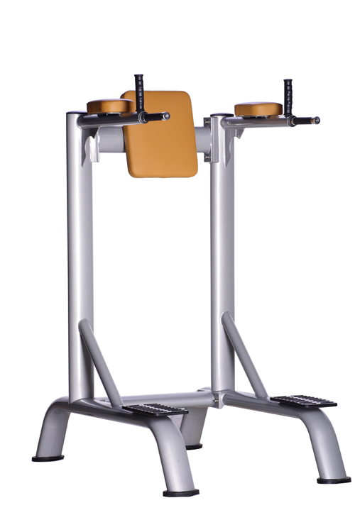 Gym Room Used Professional Commercial Vertical Knee Raise