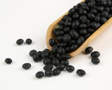 Black Bean 100G