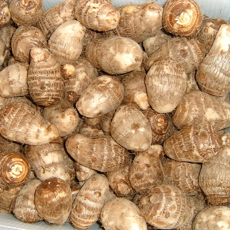 Fresh Taro Grade a From China Chinese Taro High Quality