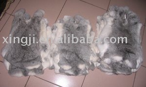 chinchilla rabbit fur skin