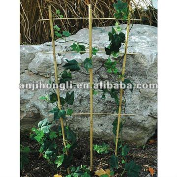 Natural Bamboo Cane Stake La Pergola