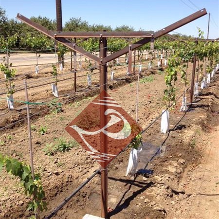 high strangth metal vineyard post/grape stake/vineyard trellis post