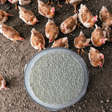 Mono Dicalcium Phosphate P 21% Additives