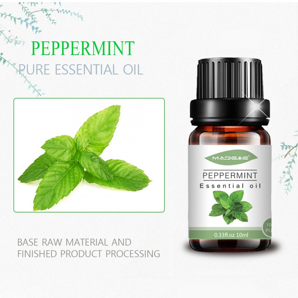 factory peppermint essential oil 100% pure organic oil