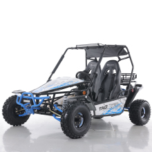 Tao Motor Electric Start Petrol 200cc Racing Go Karts for Adults