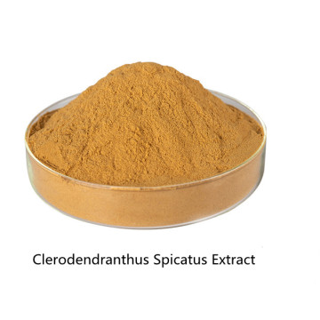 Buy online Clerodendranthus Spicatus Extract powder