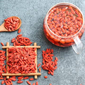 Raw organic goji dried berries for sale