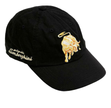 OEM Fashion design baseball carton printing kids sports cap hat