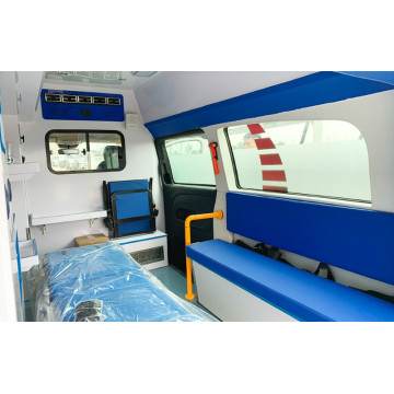 Guardianship Type and Transport Ambulance Car