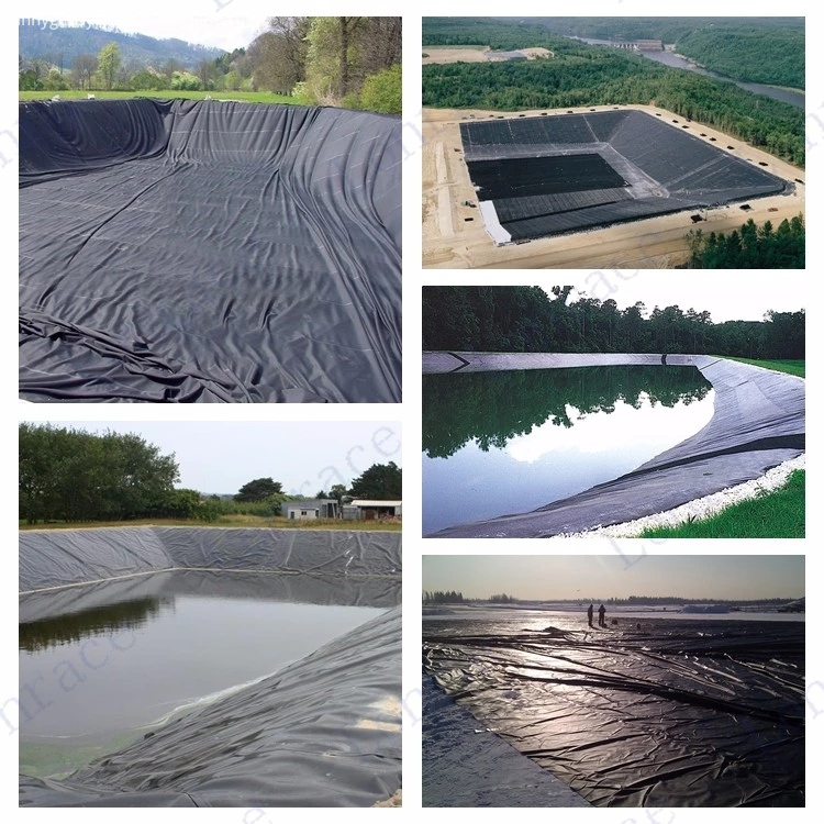 For Shrimp And Tilapia Farm