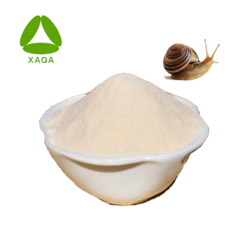 Snail Slime Extract Snail Protein Pulver Massenpreis