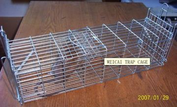 Rat Catch Cage