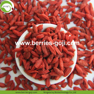 Factory Supply Dried Red Lycium