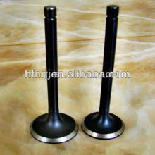 Chinese best quality engine valves for racing car
