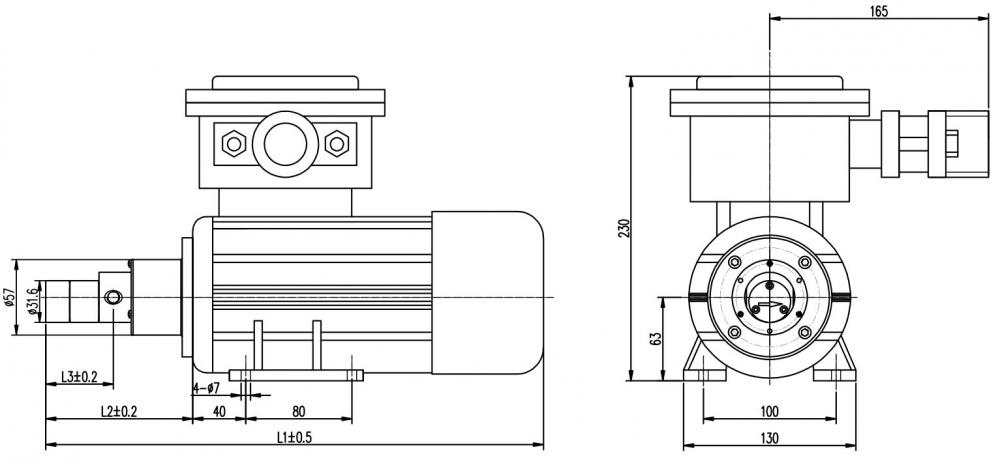 57 Explosion Proof Motor Micro Gear Pump