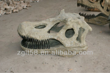 Artificial fiberglass dinosaur skull fossil for sale