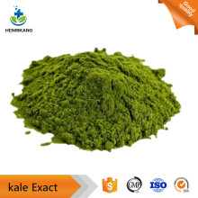 Factory price kale Extract active ingredients powder