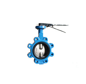 Pinless Center Line Butterfly Valve