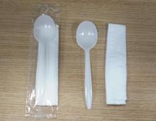Disposable Plastic Spoon Set