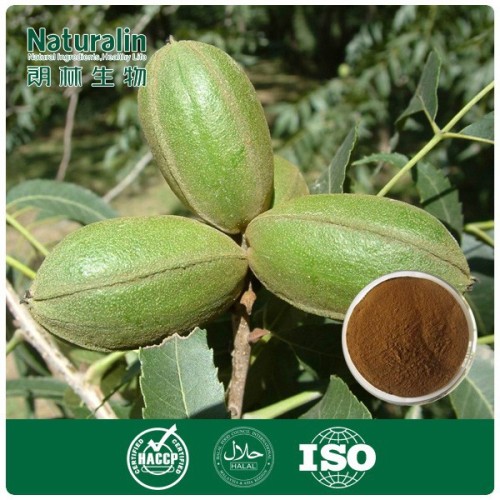 natural dark walnut color,black walnut extract,walnut powder