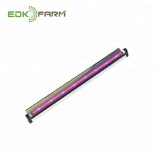 EDJ 8W Orchids Tissue Culture Kit: Growing Strawberry Seeds & Plants in a Mini Indoor Smart Garden with LED Reflector