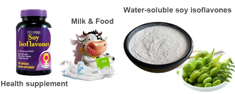 Wholesale Price Soybean Extract Powder 10% Soy Isoflavones