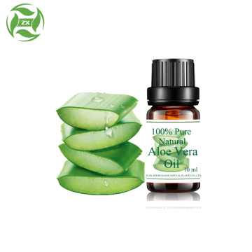 Aloe Vera Oil 100% Murni dan alami