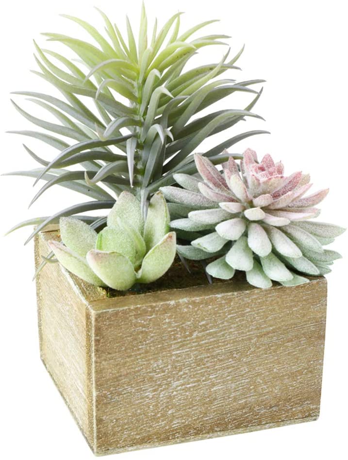 Mini assortiment de fausses succulentes vertes dans des pots