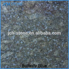 China butterfly blue Granite natural stone floor tile