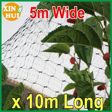 BLACK Anti Bird Netting, Fruit / Plant Tree Bird Netting / Net