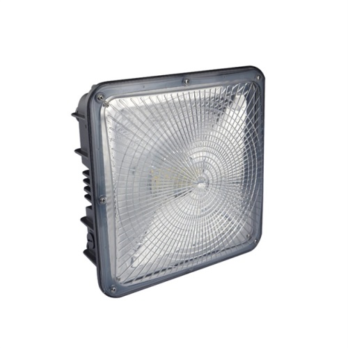Cool White 50W 75W Led Canopy Light
