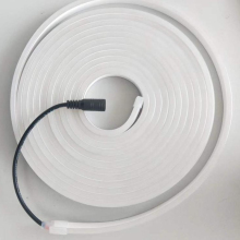 5M Neon Light Decorative LED Flex Kits 24V