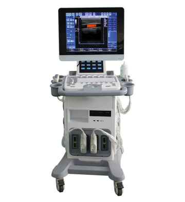 Color doppler Trolly Ultrasound machine