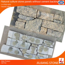 natural wall stone cladding designs
