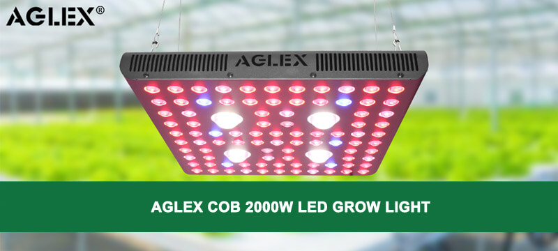 COB 2000W led grow light