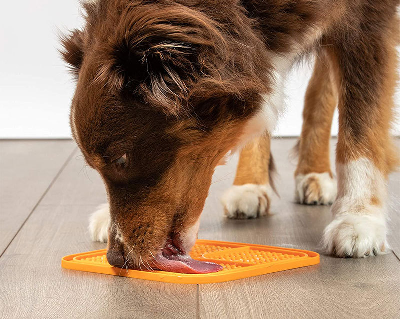 Pet Supplies Amazon Slow Feed Pad Dog Treat Dispenser Dog Lick Mat