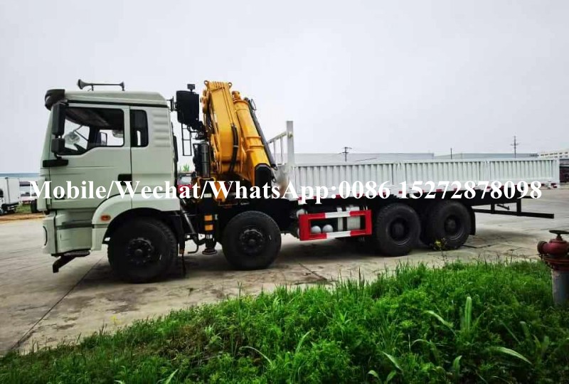 Grúa montada en camión (6) Truck Mounted Crane (6)