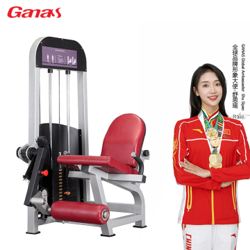 Professional Workout Gym Equipment Seated Leg Extension