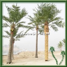 4m Artificial Canary Palm Tree